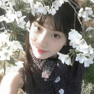 精灵宝可梦第三季